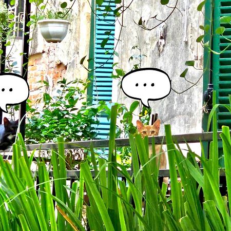 Azalea Apartment ฮานอย ภายนอก รูปภาพ