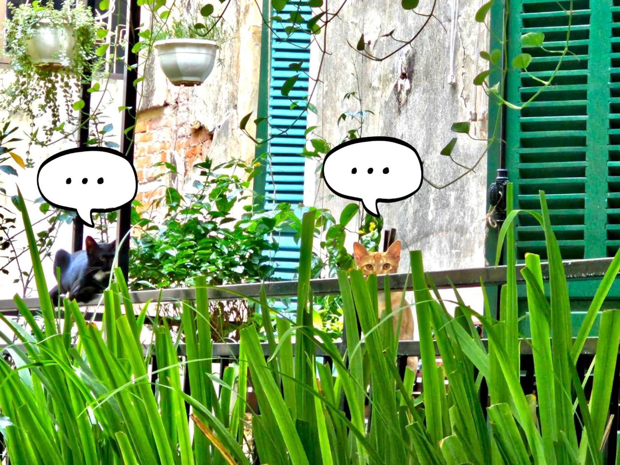 Azalea Apartment ฮานอย ภายนอก รูปภาพ