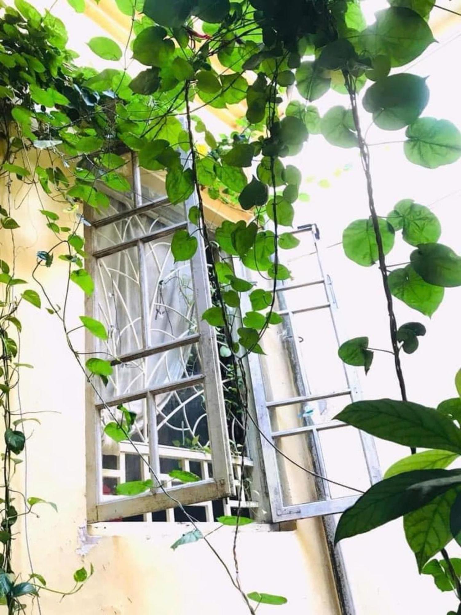 Azalea Apartment ฮานอย ภายนอก รูปภาพ